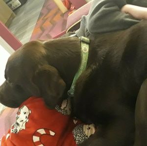 Meet your Posher, Grace.